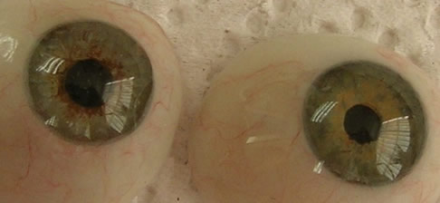 What is an ocular prosthetic - Eyes Alive